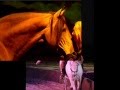 Cavalia - Imagenes