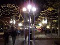 Boulder, Colorado - Downtown Obama Celebration #1 Boulder, Colorado - Downtown Obama Celebration #1