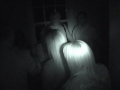 Opi ghost hunts.