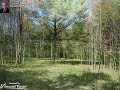 Lot for sale in VT, Lot 6 Foote Farm, Cornwall, VT Lot for sale in VT, Lot 6 Foote Farm, Cornwall, VT