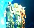 Stonger Live @ Preston - Sugababes