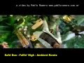 Safri Duo - Fallin' High - Ambient Remix -=HI FI Stereo=-