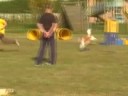 Agility Dog Trilly... riassunto!