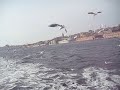 nešto lijepo samo za zlo Manele-Gratis.net