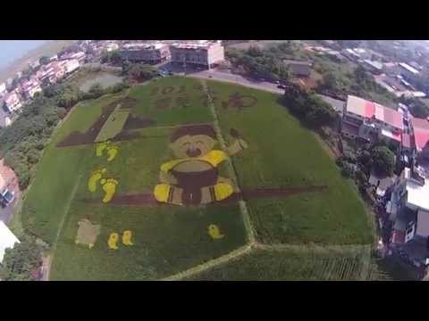 後壁農會農田彩繪 後壁農會農田彩繪