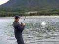 Skeena River Chinook