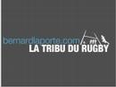 bernard laporte r�pond � vos questions sur son site.

question de gatetan64 :
