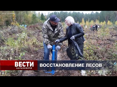 Вести Барановичи 22 октября 2025.