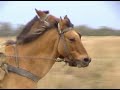 http://www.ibera-argentina.com/index.php 
This movie is made by Irupé Lodge, an exclusive eco - hotel located at the shore of Iberá Lake in the middle of the nature reserve 