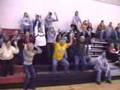 The Volleyball Parents Wave