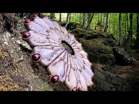 Most CHILLING UFO Sightings You Haven't Heard About!