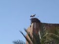 Maroc: Marakech, Col du Tichka , Kasbah \"Ait Benhaddou\"