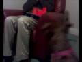 videos de Dogbook Movie: Girl dog and her Daddy.