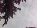Sobre la Ciudad