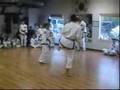 Taekwon-do non-contact sparring