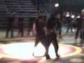 dance