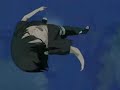 Naruto Hinata- Sasuke Sakura