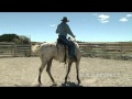 Riding a newly started horse.Bryan McVicar