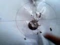 GAMO CXF