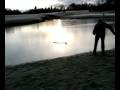 greenkeeper fishing for golfballs