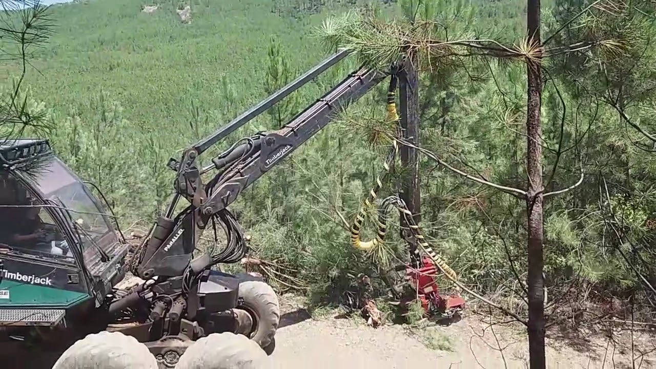 Cabeça Processadora Naarva - Serra S.Mamede Pt2