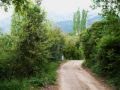 Smetana,Vitava-Tepelerde Antalya