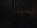 12-year-old plays an award-winning bass solo at junior high school talent show.
www.myspace.com/madtryst for more!

also check out his 8th grade award winning performance at 
http://www.youtube.com/watch?v=wuvkgzz0-i4