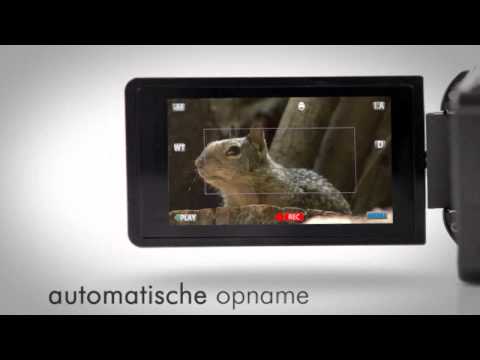 JVC Everio VX815 videocamera
