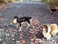 Upset about litter bugs