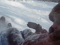 Sled Thrill cam Sled Thrill cam