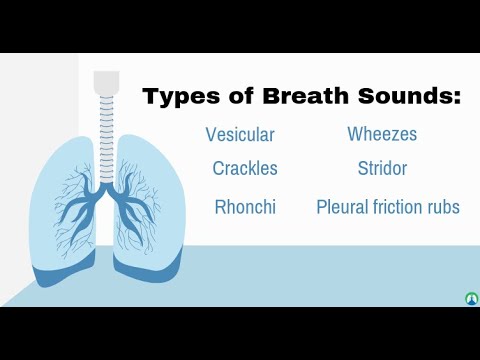 how to assess breath sounds