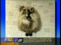 203 Pet Service on "Pet Talk"
