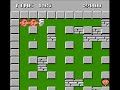 trick game on nes. no cheat. only a bug script game.
