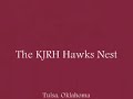 Red-tailed Hawks Have Two Baby Chicks
