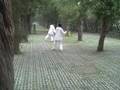 Beijing style martial arts