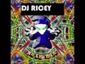 DJ RICEY ROOFTOPS