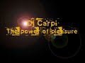Dj Carpi - The power of pleasure(dreamsplash remix)