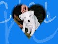 if you have a pet of any kind
please join the no1 pet forum in the world!
luckys wonder of chinchillas
http://anntwo.proboards105.com/index.cgi

please help an animal in need by purchasing
jamie glaser's music for pets and people cd
$2 of every purchase goes to animal rescue!
thank you.
http://www.jamieglaser.com/petmusic.html