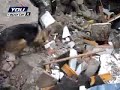 Associazione Nazionale EMY Sez. Messina  Unità Cinofile