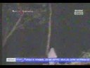 caught on road side camera caught on road side camera