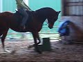 Renoir Monett (Renny) Riding