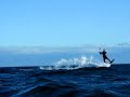 EKE Surfs! EKE Surfs!
