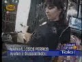 Perros de Asistencia, La Red Perros de Asistencia, La Red