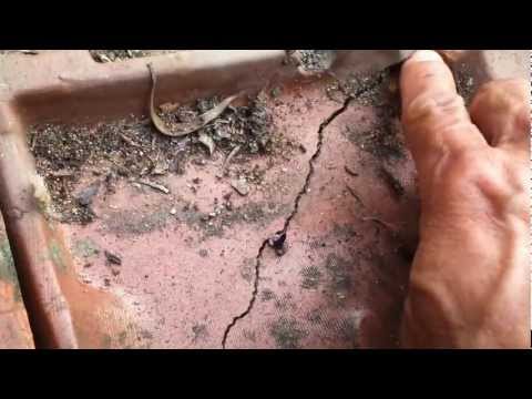how to fasten roof tiles