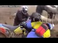 Idiots on Motorbikes