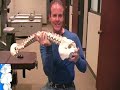 Lumbar Training Part 4 Dr Matthew Brown Chelsanna Systems.wmv