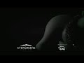 Evergreene Jewelers Polar Bear Diamonds | http://www.evergreenejewelers.com