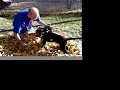 Dogbook Movie: Fall Fun with Daddy Dogbook Movie: Fall Fun with Daddy
