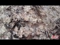 Woodsball Paintball - Episode 15: A Day in the Life of a T9.1 Pistol