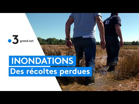 Image de prévisualisation YouTube